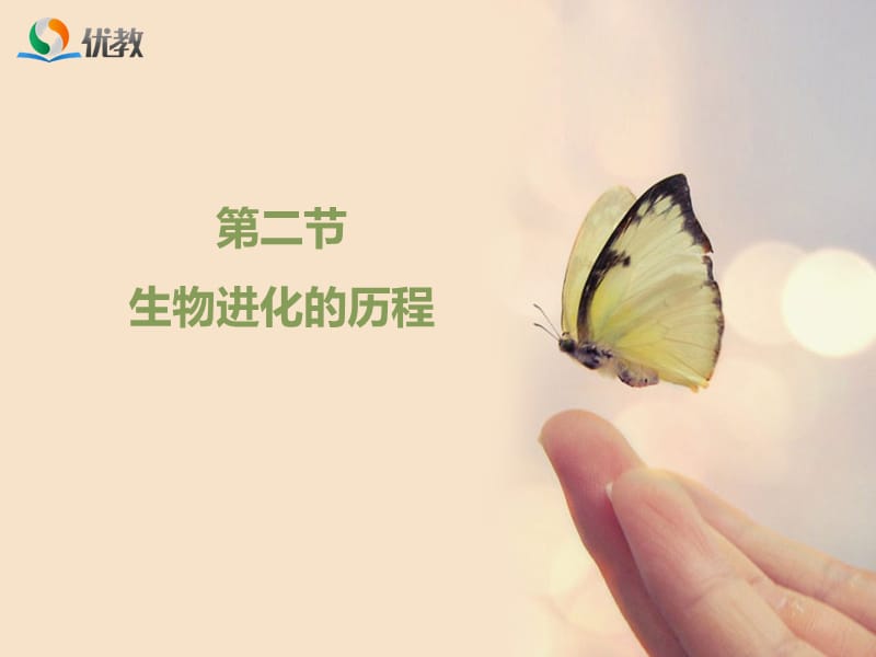 《生物進(jìn)化的歷程》.ppt_第1頁