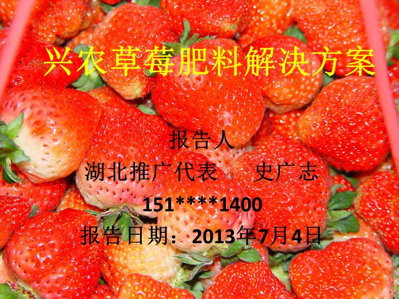 兴农草莓水肥解决方案.ppt_第1页