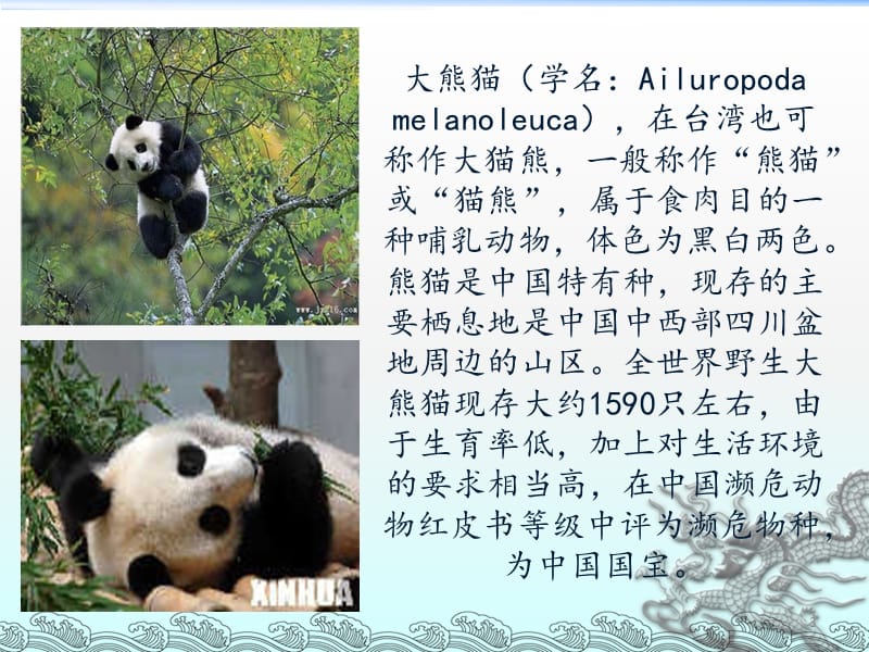 中国历史文化遗产大熊猫ppt课件_第3页