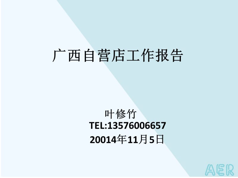 廣西自營店工作報告.ppt_第1頁