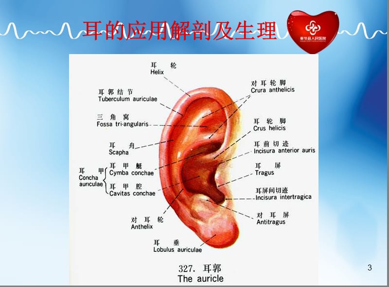 中耳炎及并发症ppt课件_第3页