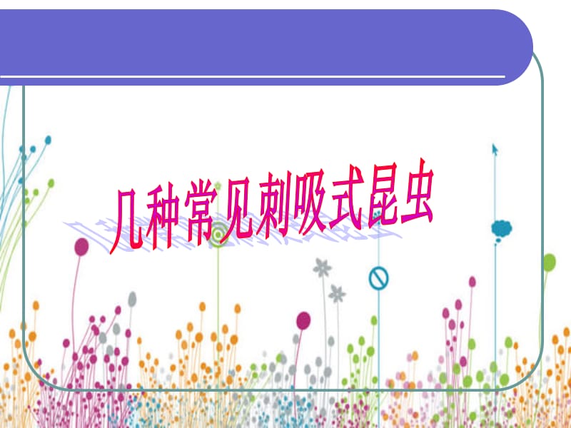 几种常见的刺吸式害虫.ppt_第1页