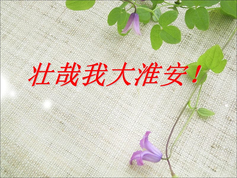 壮哉我大淮安安珂.ppt_第1页