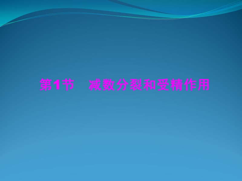 减数分裂和受精作用.ppt_第1页