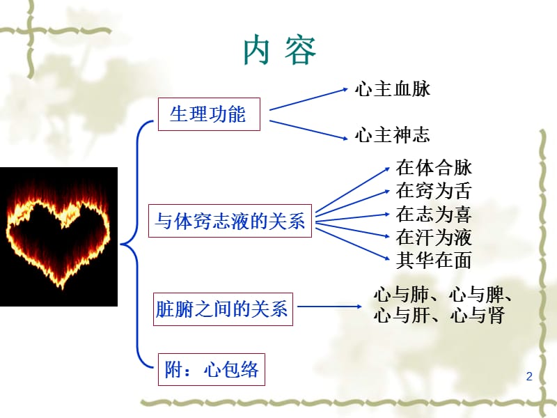 中医五脏心ppt课件_第2页