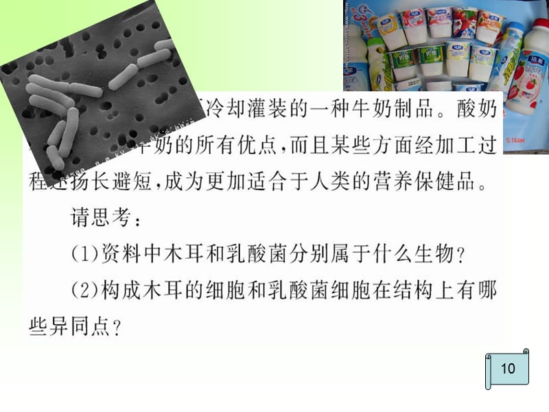 原核细胞和真核细胞.ppt_第3页