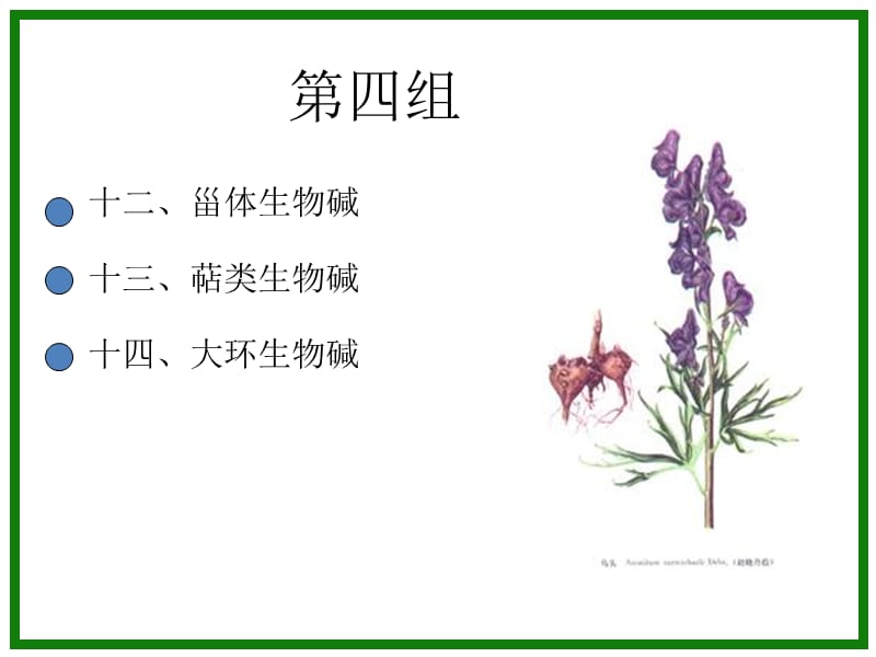 植物化学萜类生物碱ppt课件_第1页