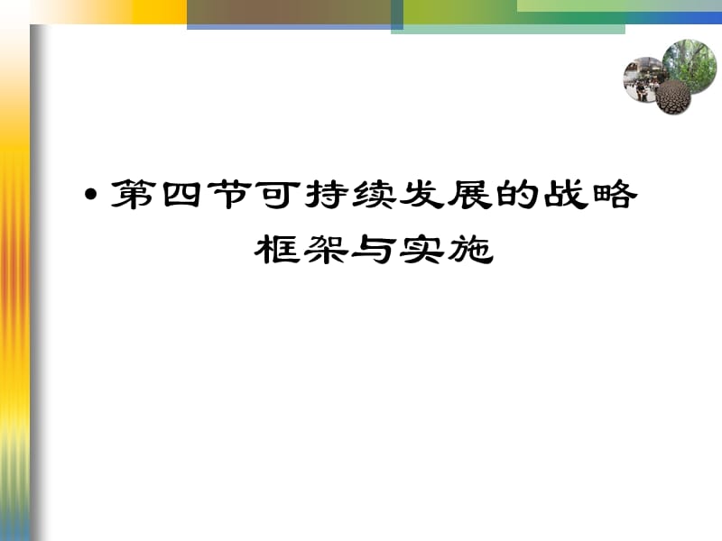 可持续发展的战策框架.ppt_第1页