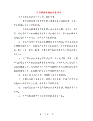 公司職業(yè)健康安全承諾書.doc