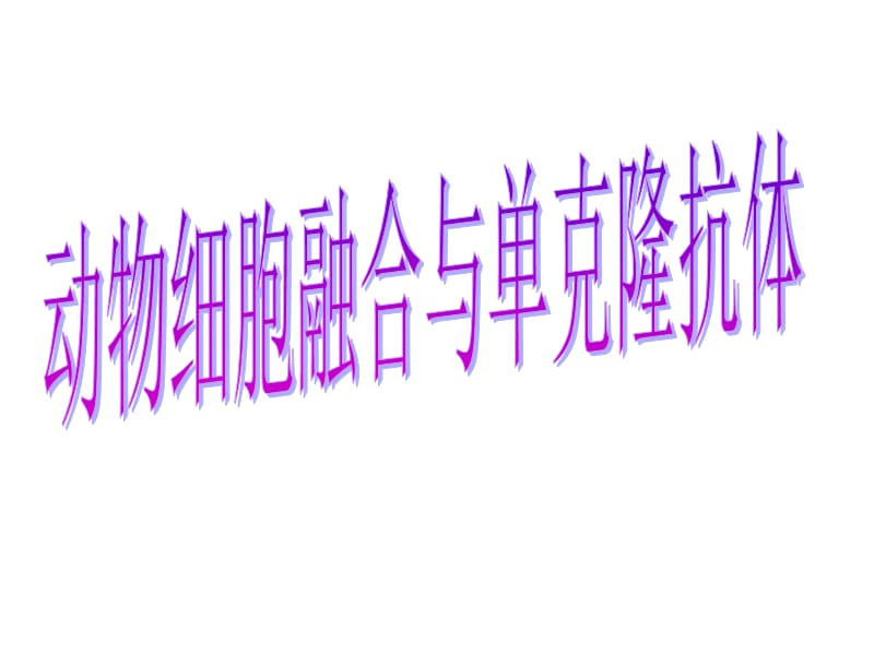 动物细胞融合与单克隆抗体.ppt_第1页