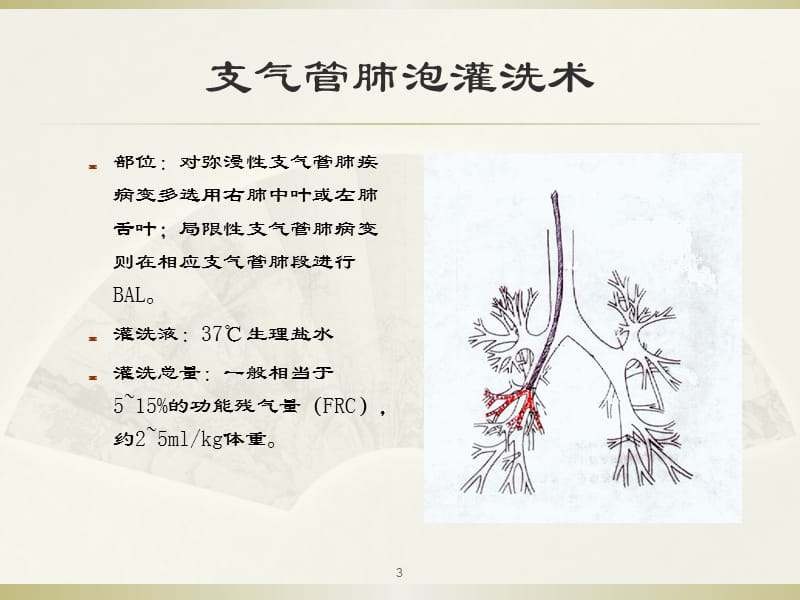 支气管镜在儿童呼吸ppt课件_第3页