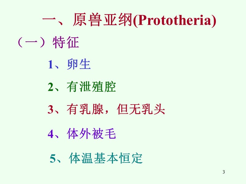 中国海洋大学资料脊椎动物学哺乳纲分类ppt课件_第3页