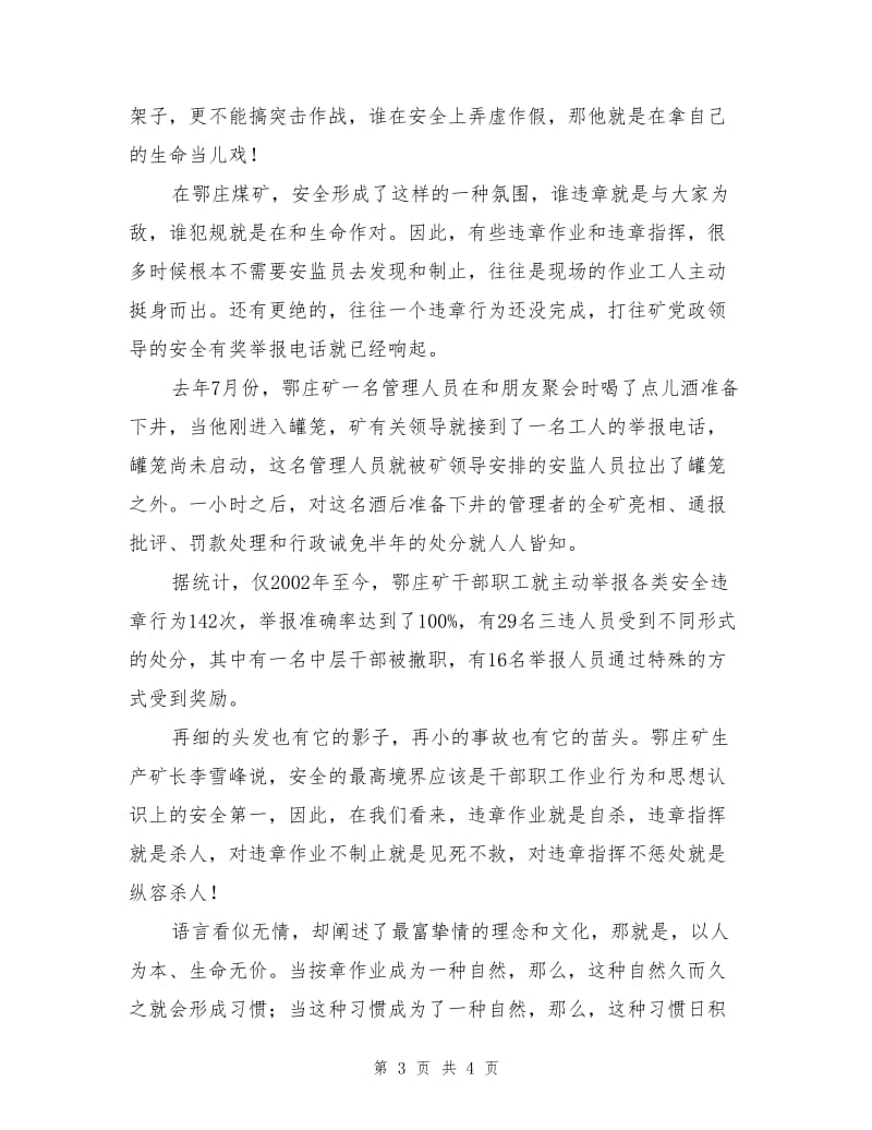 成在安全文化力.doc_第3页