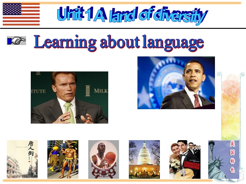 人教英语选修8第一单元Learningaboutlanguage.ppt_第1页