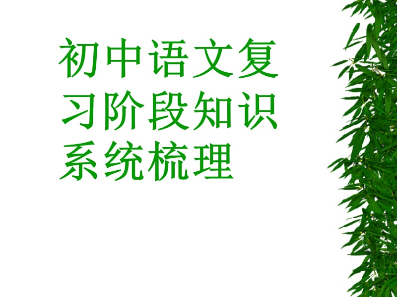 初中语文复习阶段知识系统梳理.ppt_第1页