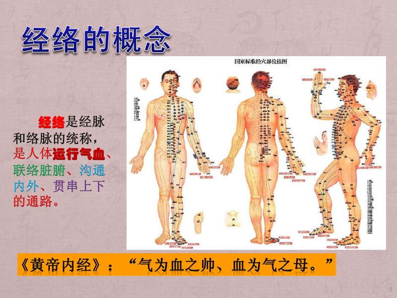 中医经络ppt课件_第3页