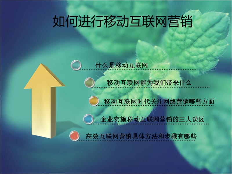 如何进行移动互联网营销.ppt_第1页