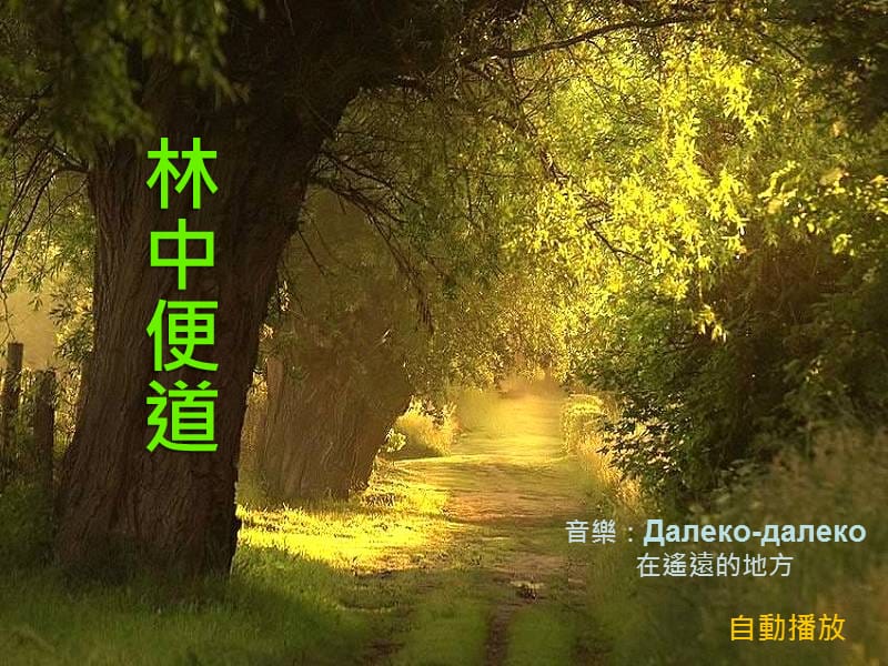 俄罗斯歌曲;林中便道.ppt_第1页