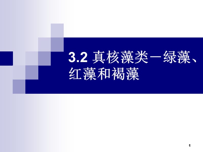 中国海洋大学资料植物生物学真核藻类ppt课件_第1页