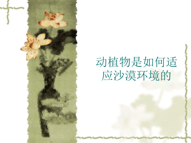 动植物是如何适应沙漠环境的.ppt_第1页