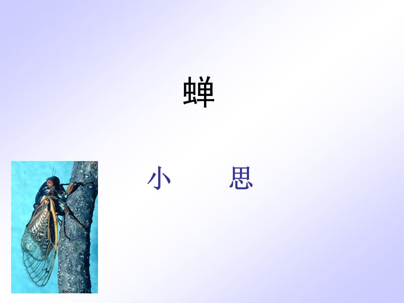 短文兩篇·蟬·貝殼.ppt_第1頁