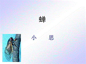 短文兩篇·蟬·貝殼.ppt