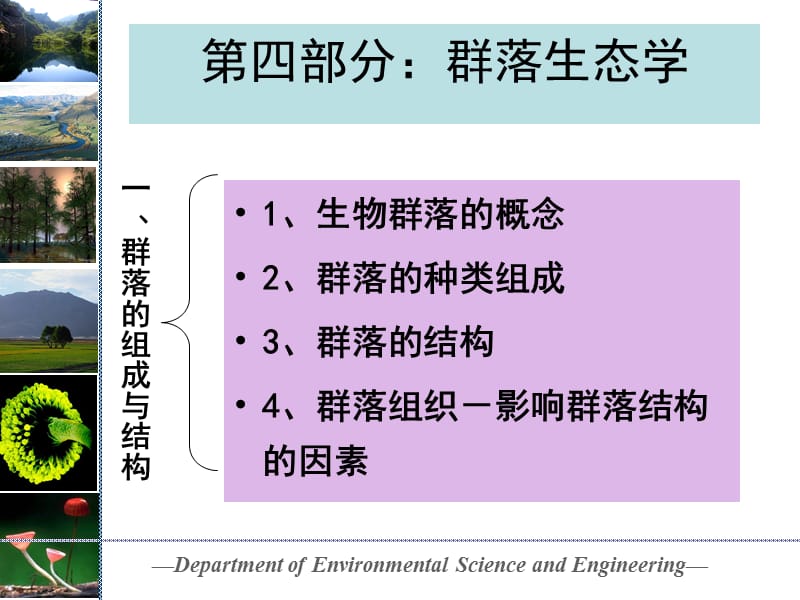 群落的组成与结构.ppt_第1页