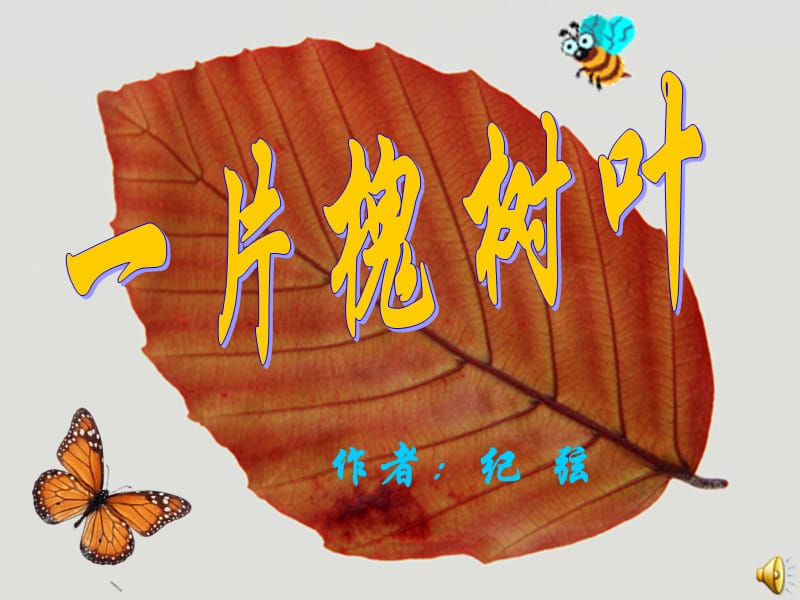 語(yǔ)文版現(xiàn)代詩(shī)歌兩首之《一片槐樹葉》.ppt_第1頁(yè)