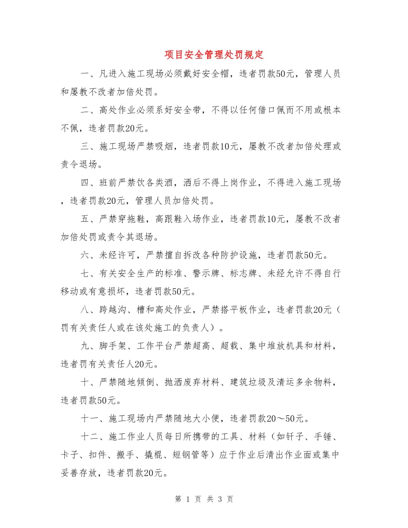 项目安全管理处罚规定.doc_第1页