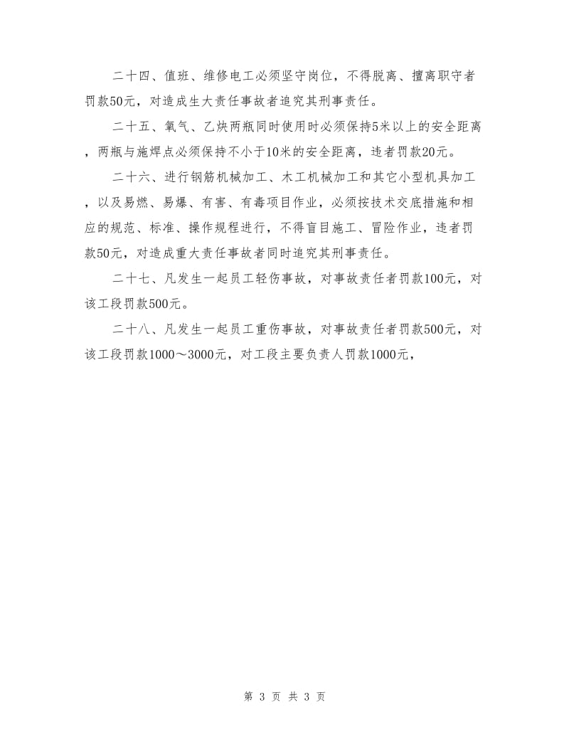 项目安全管理处罚规定.doc_第3页