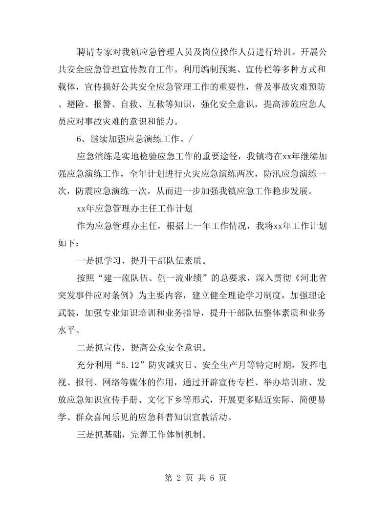 应急管理办主任工作计划.doc_第2页