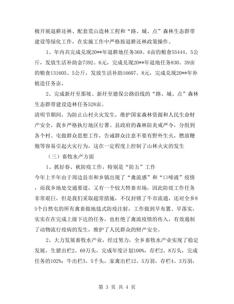 乡政府副职领导述职报告.doc_第3页