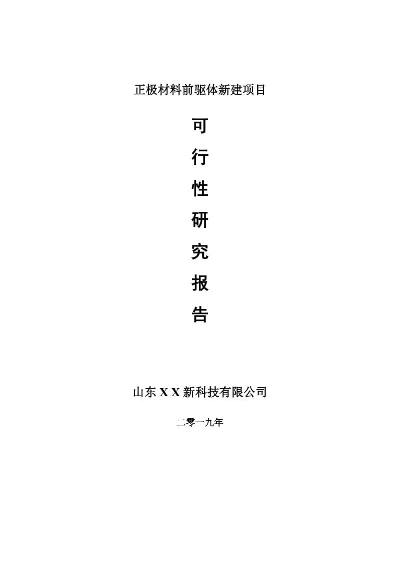 正极材料前驱体新建项目可行性研究报告-可修改备案申请_第1页