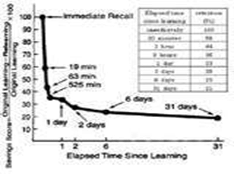 英语词汇记忆讲座1.ppt_第3页