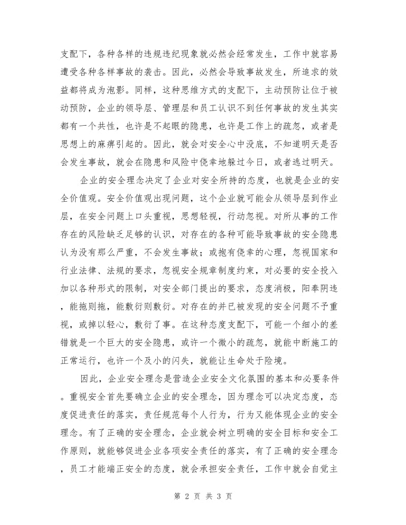 谈企业的安全理念.doc_第2页