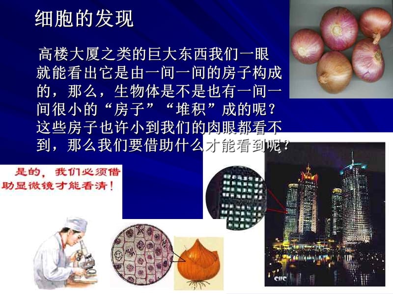 细胞的结构细胞学说.ppt_第2页