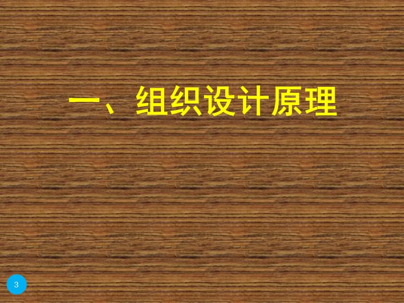 组织设计与运行基本原理.ppt_第3页