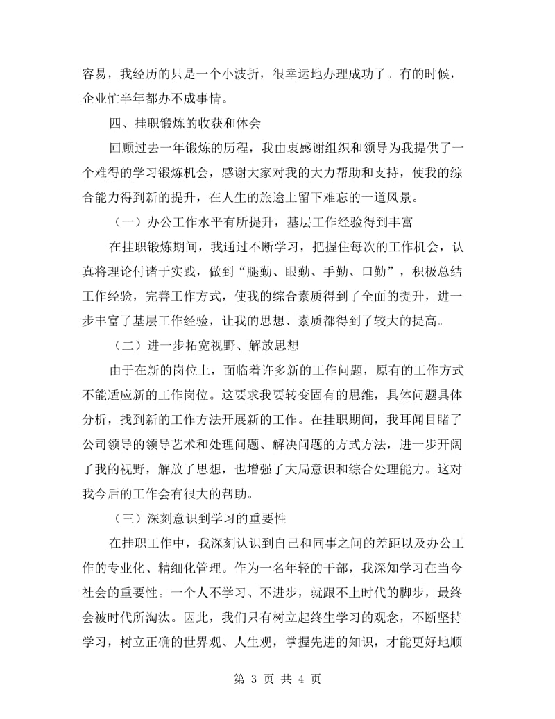 办公室副主任挂职锻炼经验交流材料.doc_第3页