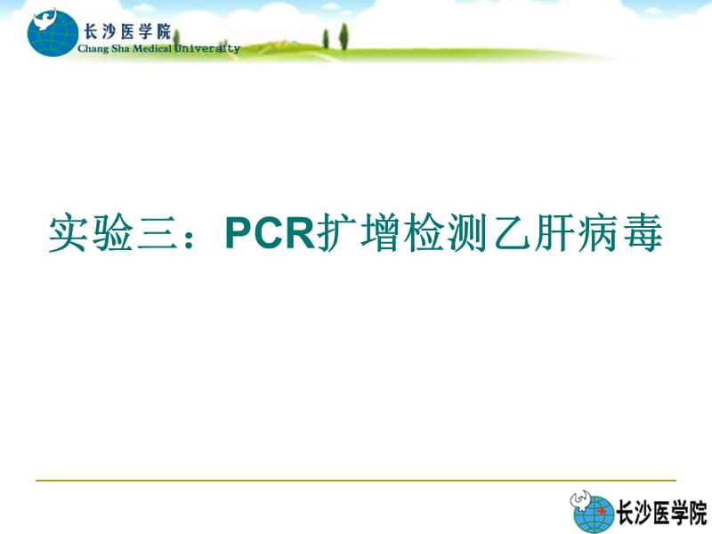 PCR擴(kuò)增檢測(cè)乙肝病毒.ppt_第1頁