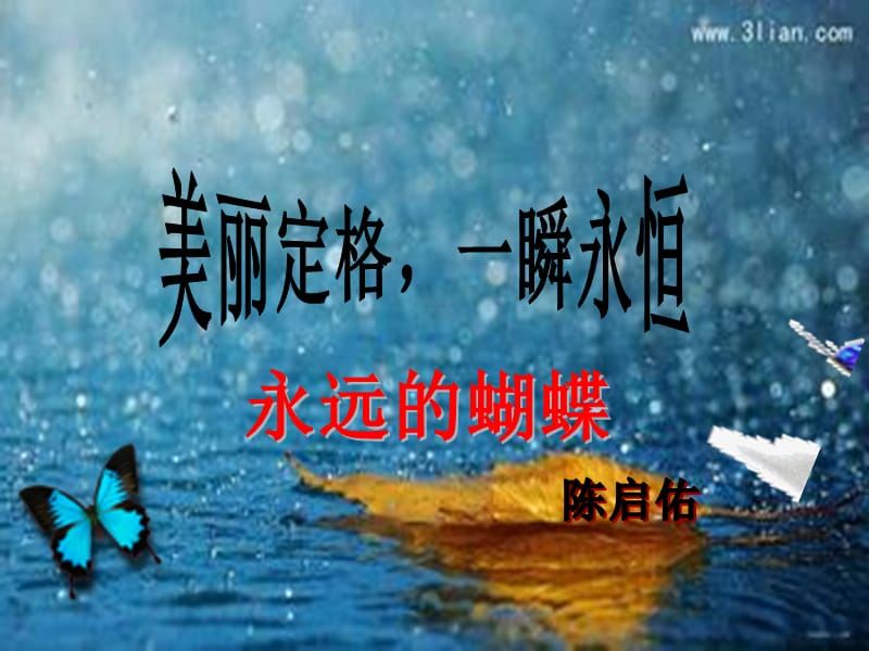 《永遠的蝴蝶》說課課件修改.ppt_第1頁