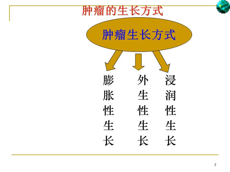 肿瘤的生长与播散ppt课件_第3页