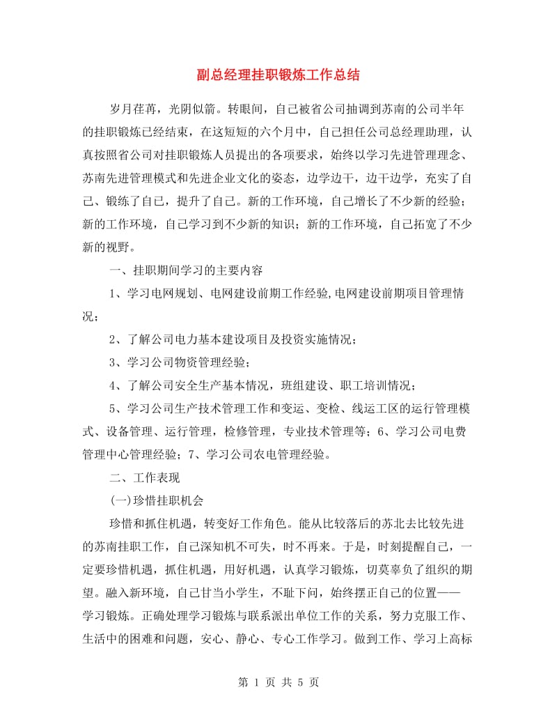 副总经理挂职锻炼工作总结.doc_第1页