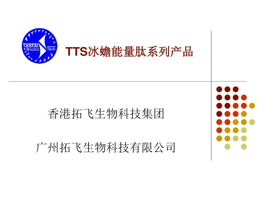 TTS产品介绍幻灯片.ppt_第1页