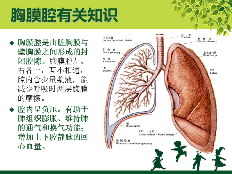 负压胸瓶及胸腔闭式引流的护理ppt课件_第3页