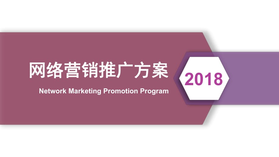 《网络推广方案》PPT课件.ppt_第1页