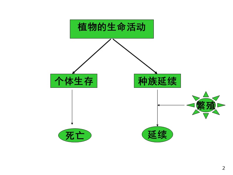 被子植物生殖器官ppt课件_第2页