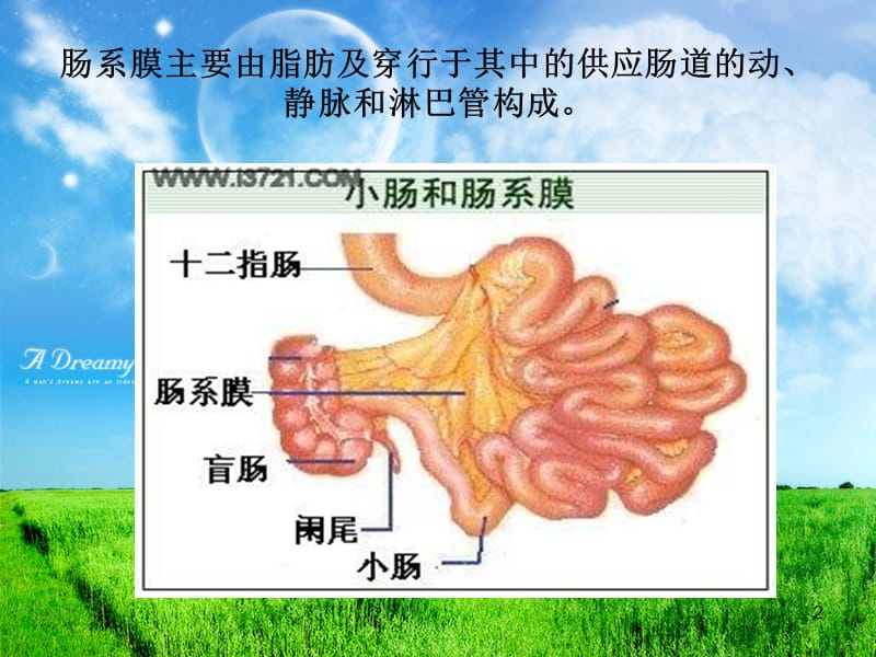 肠系膜病变影像诊断ppt课件_第2页