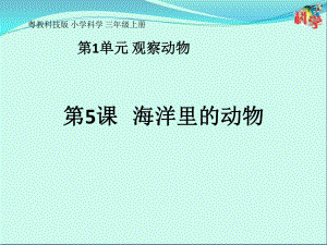 三年級上冊第5課《海洋里的動物》教學課件.ppt