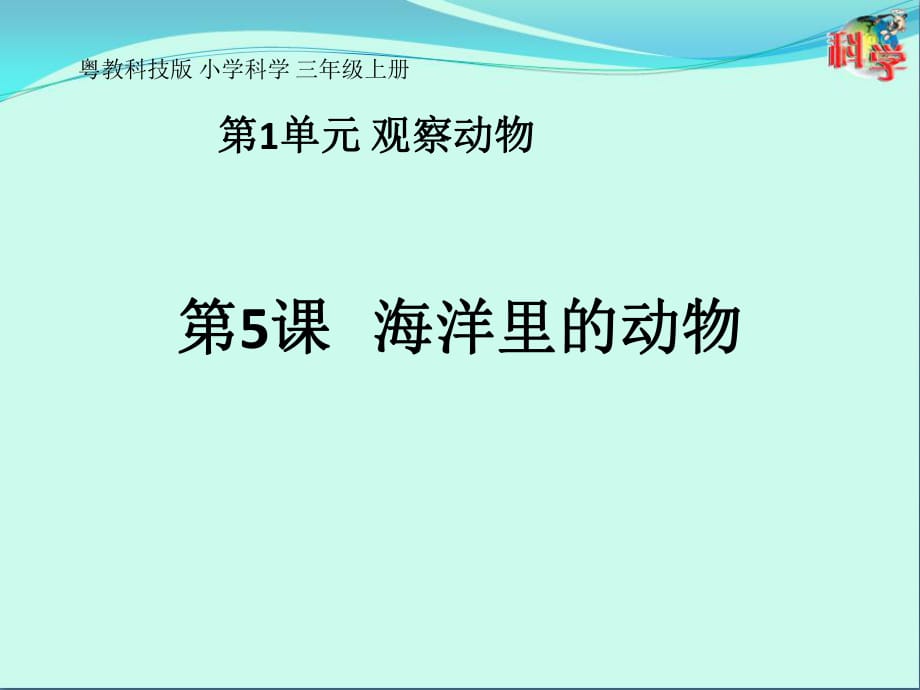 三年級上冊第5課《海洋里的動物》教學課件.ppt_第1頁