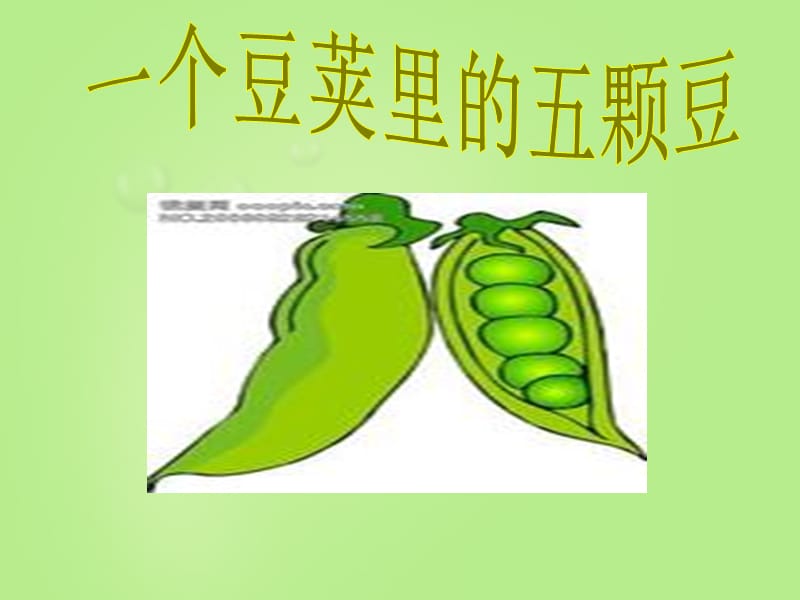 一個豆莢里的五粒豆課件.ppt_第1頁